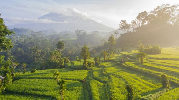 Bringing Nature into the Equation: Why SBTN Matters for Business?